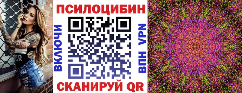 mega как зайти  где продают наркотики  Дмитриев  Псилоцибиновые грибы Cubensis 